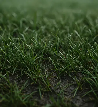 Soft Ground
